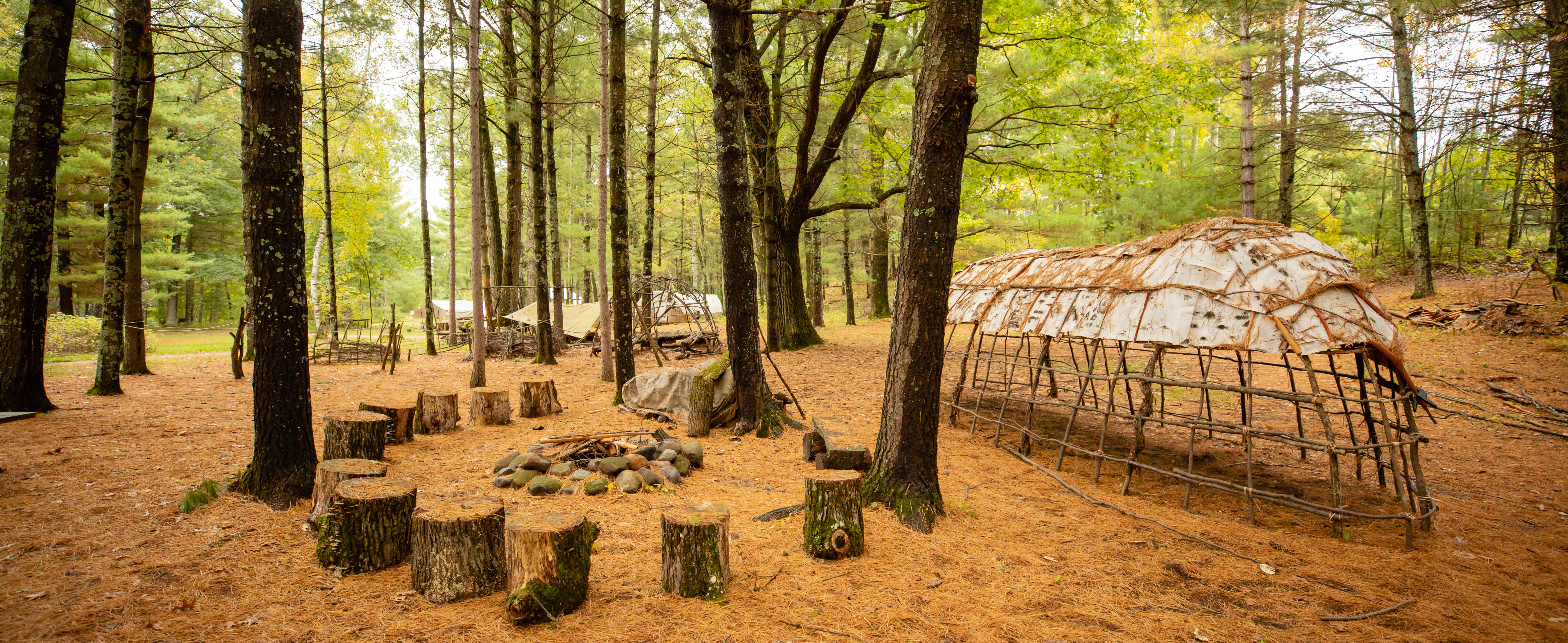 Fire pit in trees at Fort Folle Avoine