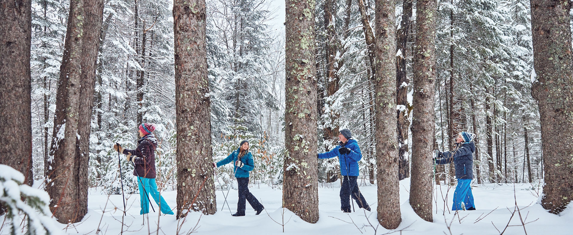 Family Walking in Snowy Woods