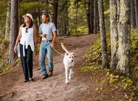Couple walking their dog loading=