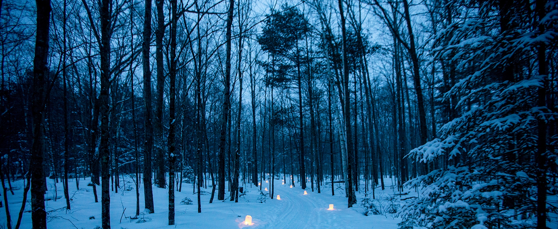 Candlelit Trail at Fish Creek Winter Festival