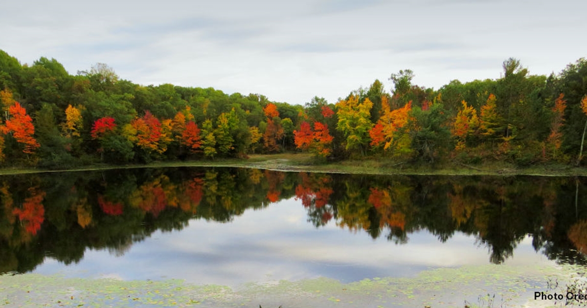 Scenic Drives for Fall Colors - WI North | Travel Wisconsin