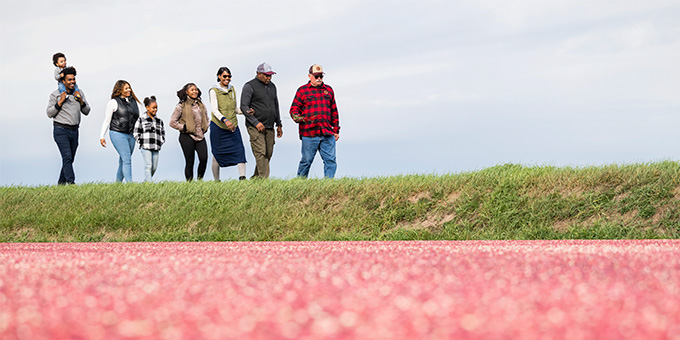 family on a tour of a cranberry bog
