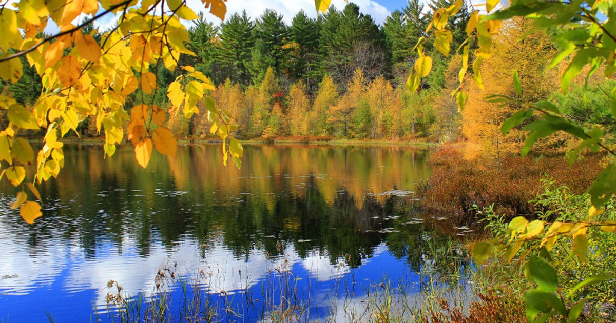 Scenic Drives for Fall Colors - WI North | Travel Wisconsin