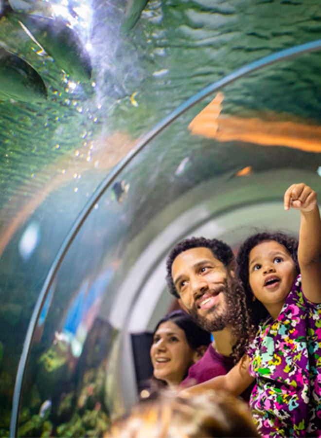 family exploring the aquarium at discovery world museum in milwaukee
