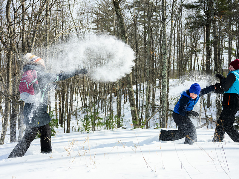 Three people in snow suits having a snowball fight in a snow-covered opening surrounded by bare trees