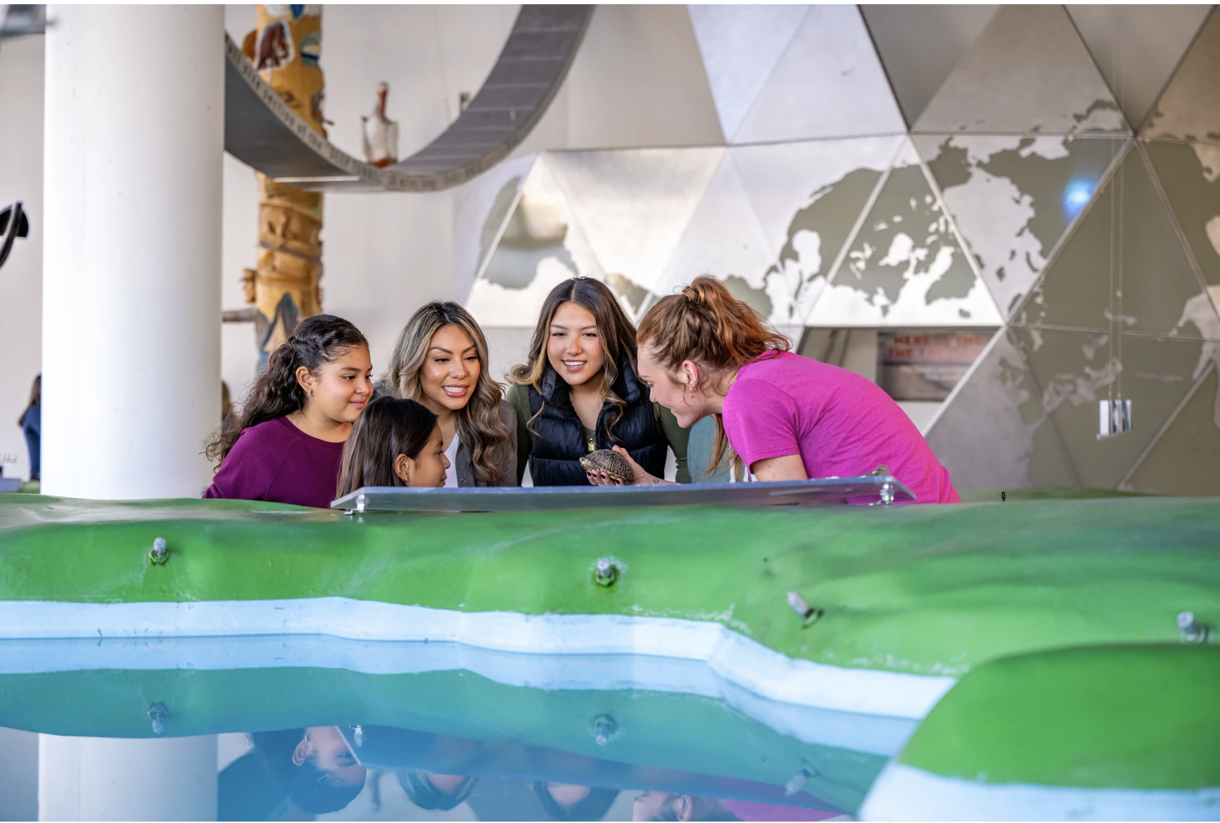 Familiy looks at a turtle exhibit at Discovery World