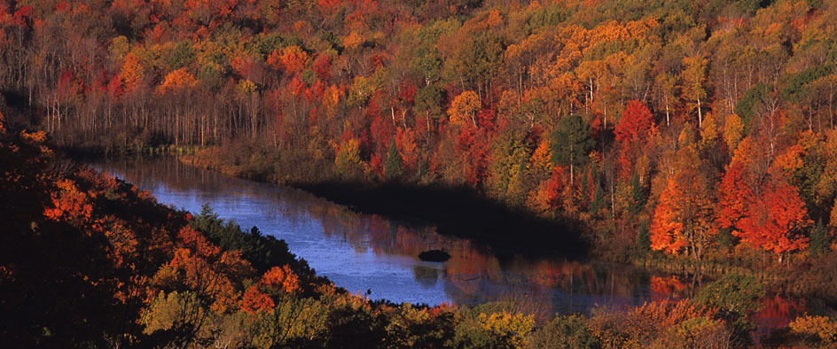 Chequamegon National Forest