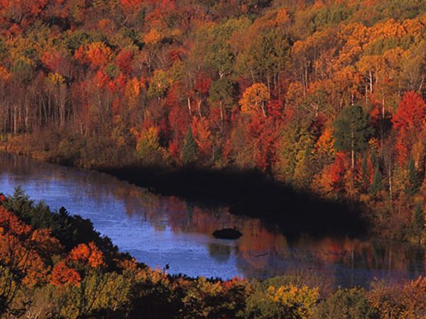 Chequamegon National Forest