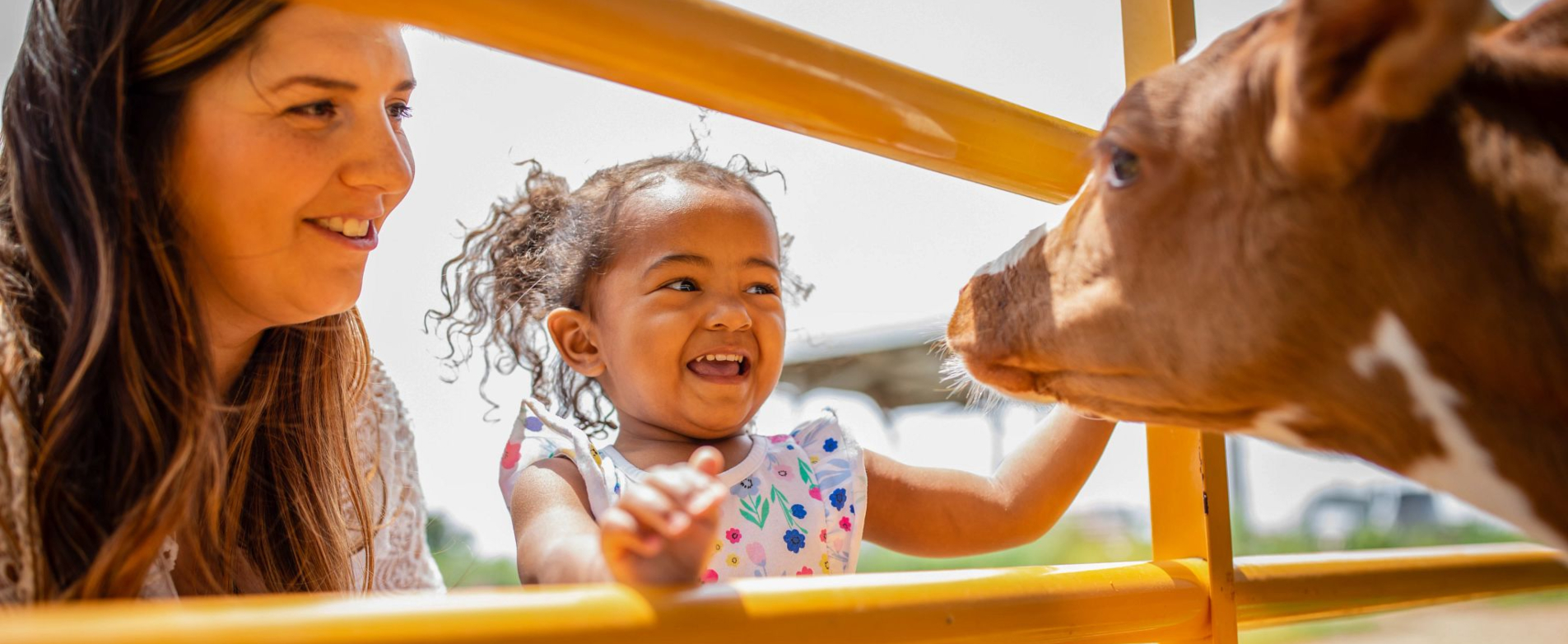 Animals & Agriculture