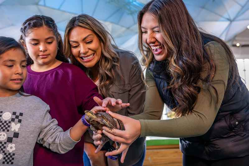 family petting a turtle at discovery world in milwaukee