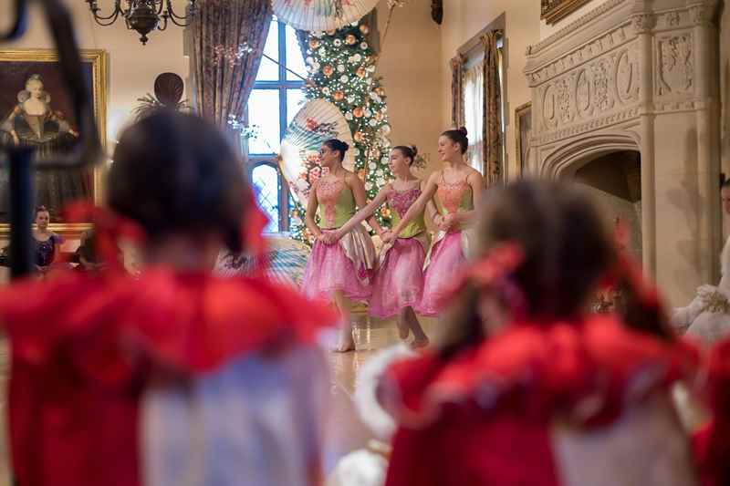 paine nutcracker paine nutcracker