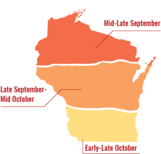 Leaf Color Change Chart