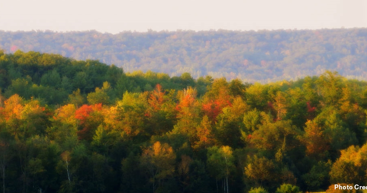 Scenic Drives for Fall Colors - WI North | Travel Wisconsin