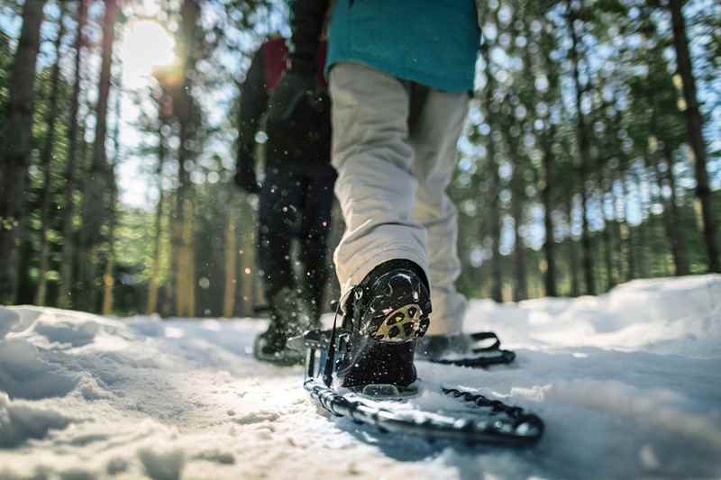 close up of someone's snowshoes while walking in the woods