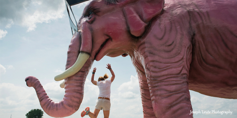 3 Pinkie the Elephant