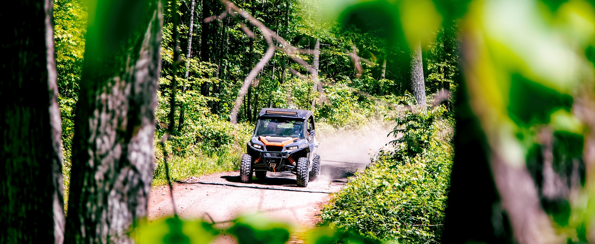 ATV through trees