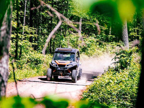 ATV through trees