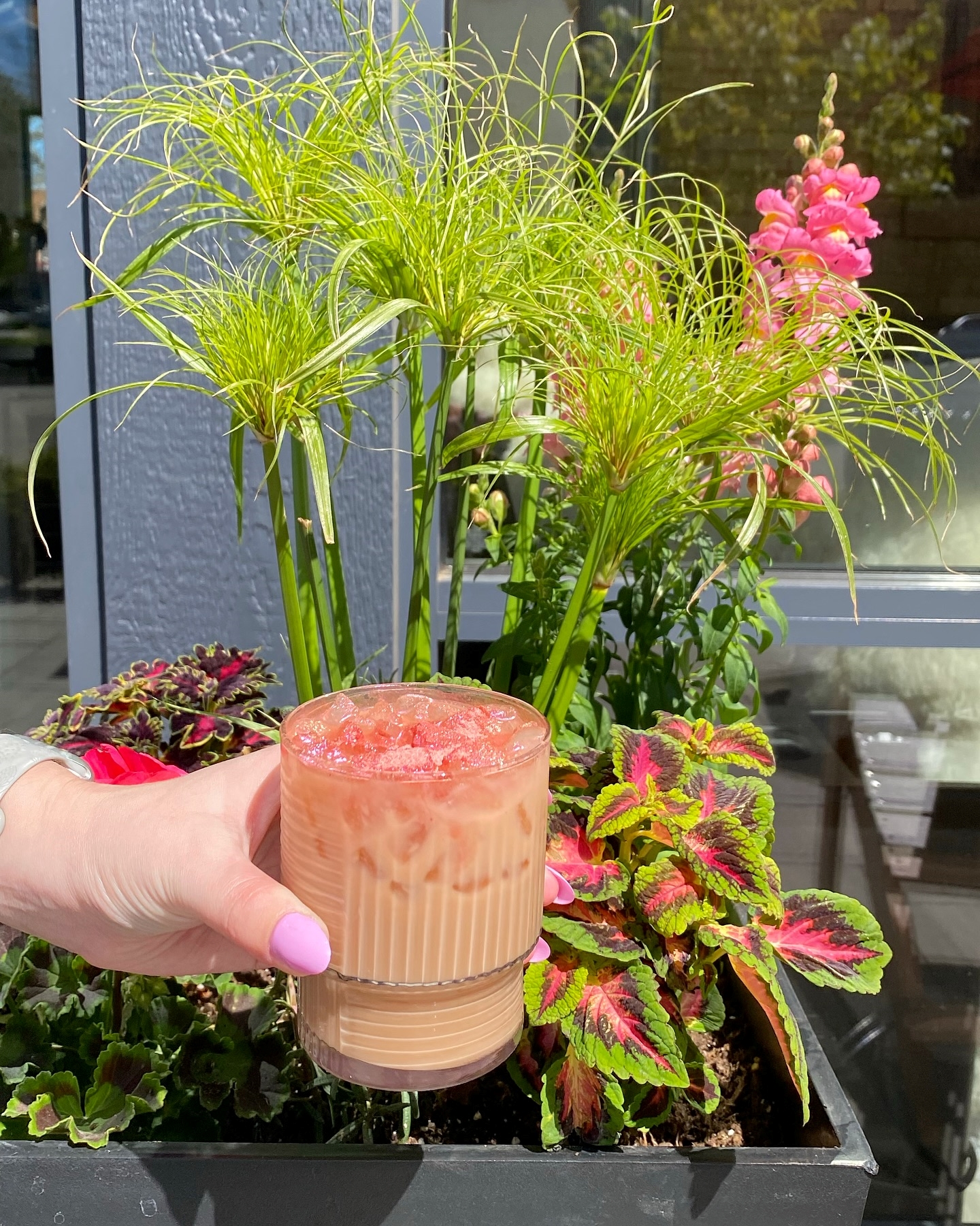 Spring coffee special drink