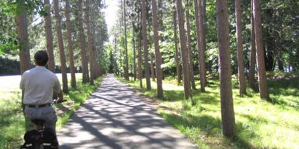 A scenic section of the trail