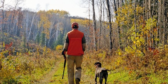 A grouse hunter and his dog walking along one of the trails.
