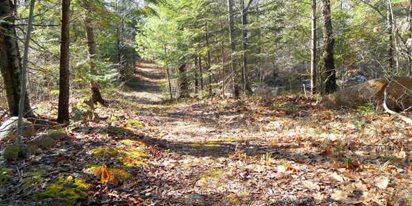 Moccasin Lake&#39;s trail during the fall.