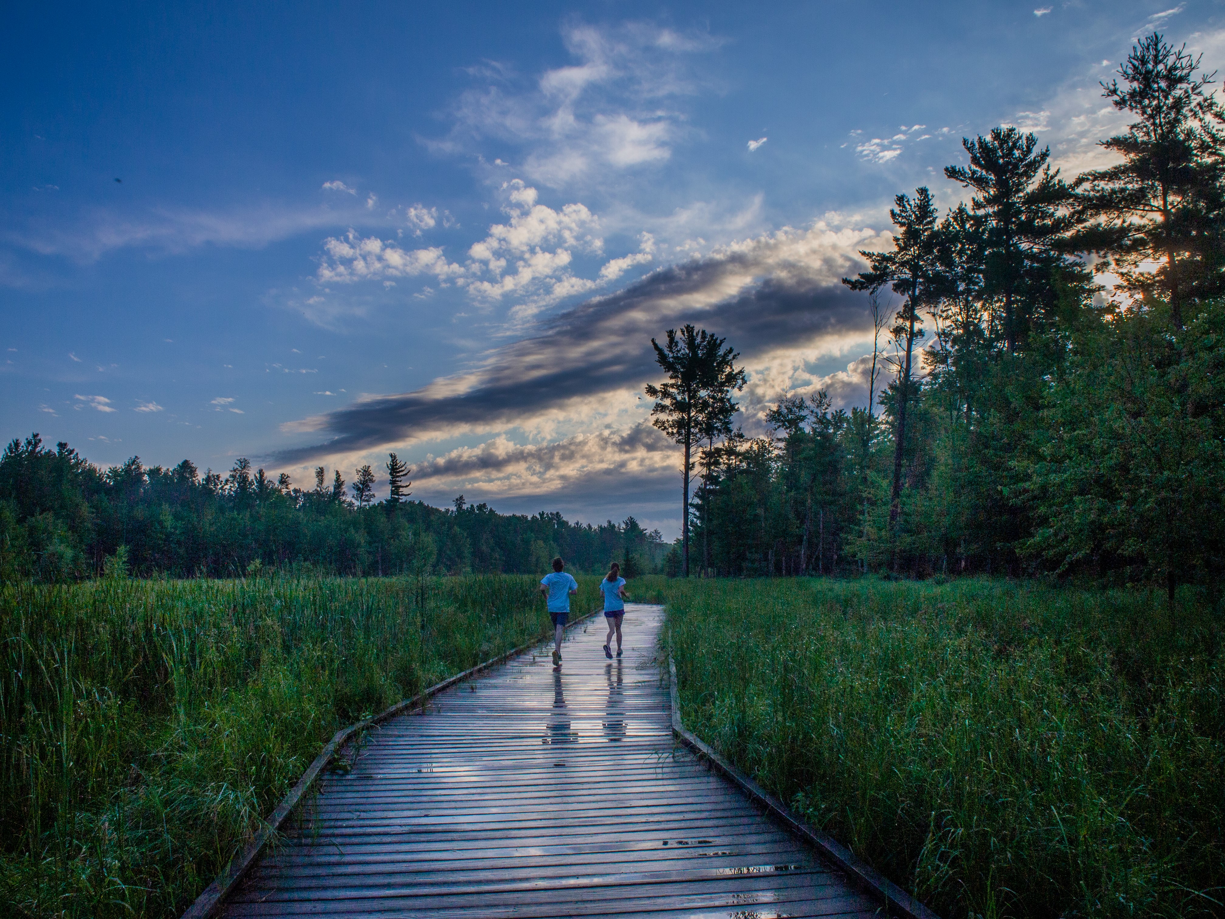 Explore more than 5 miles of trails in the 280-acre Schmeeckle Reserve on the UW-Stevens Point campus.