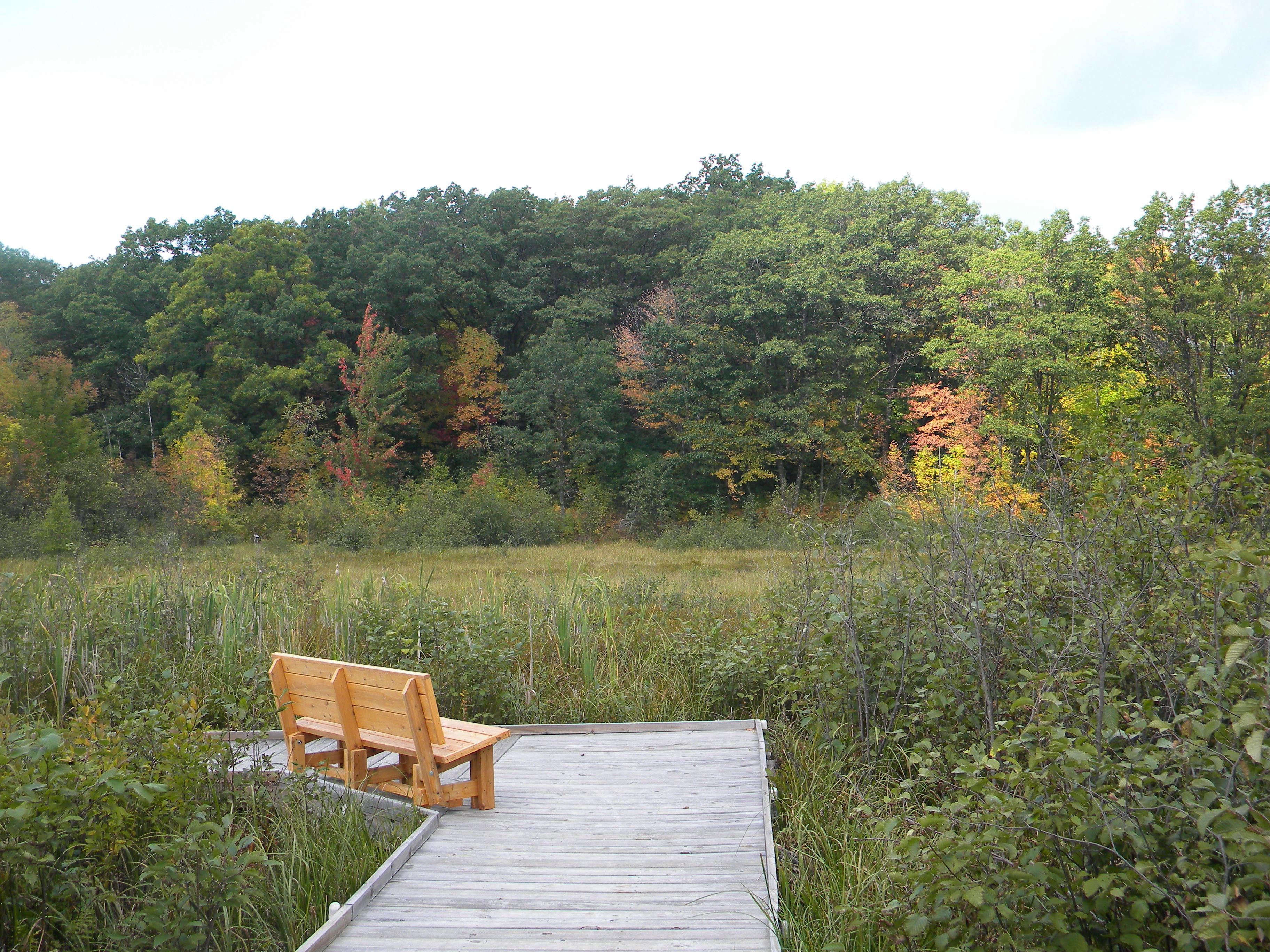 Boardwalk at Stone Lake Wetland Park