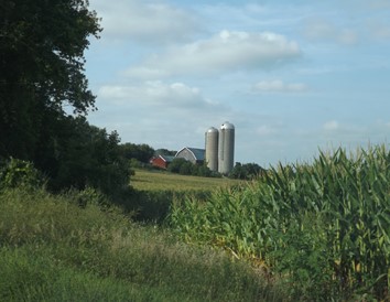 Farm Scene in Dodge County