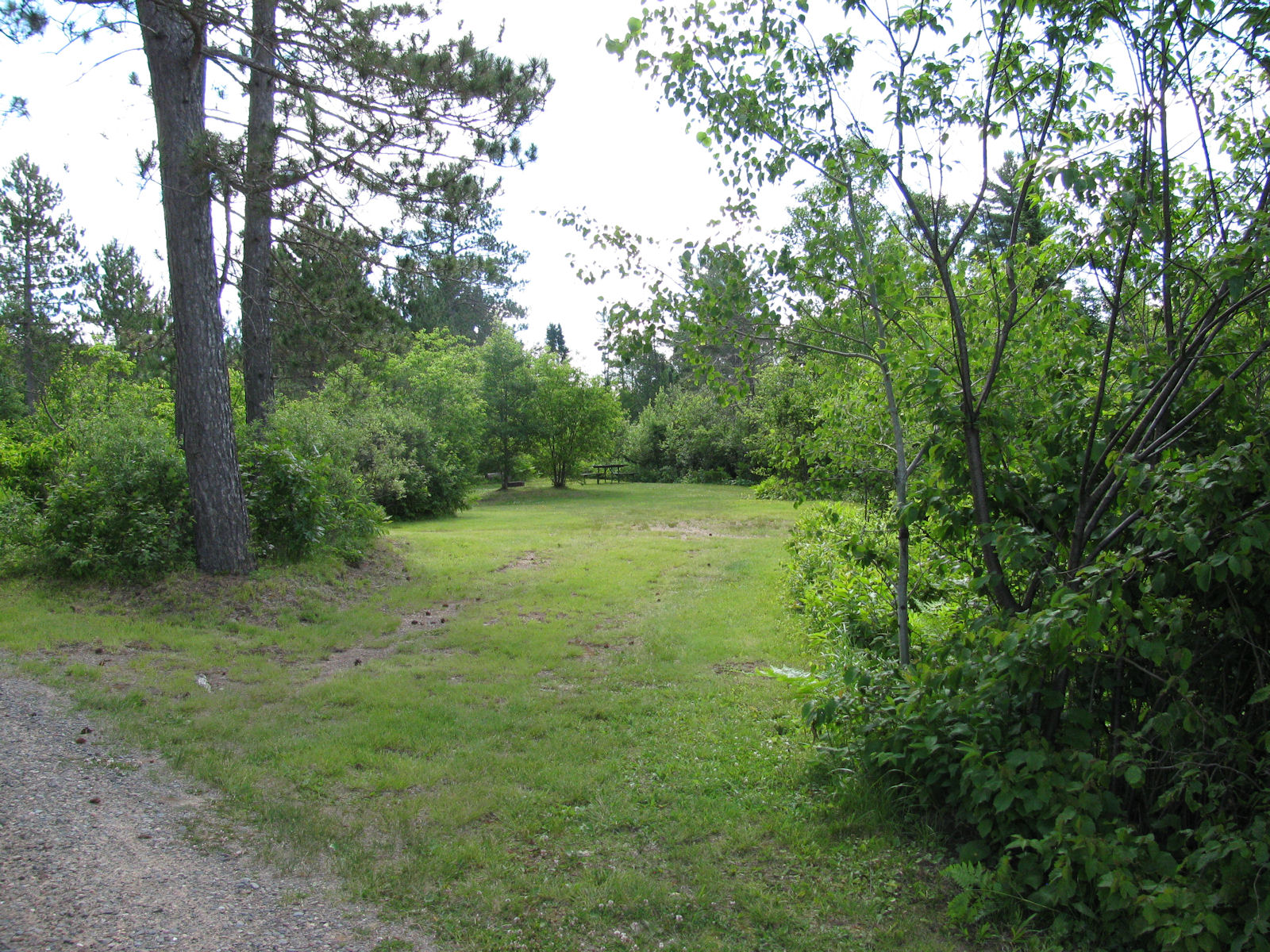 Tamarack Springs Campsite