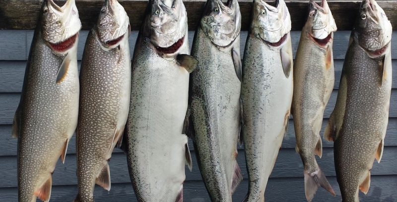 Fishing Charters of Racine Travel Wisconsin