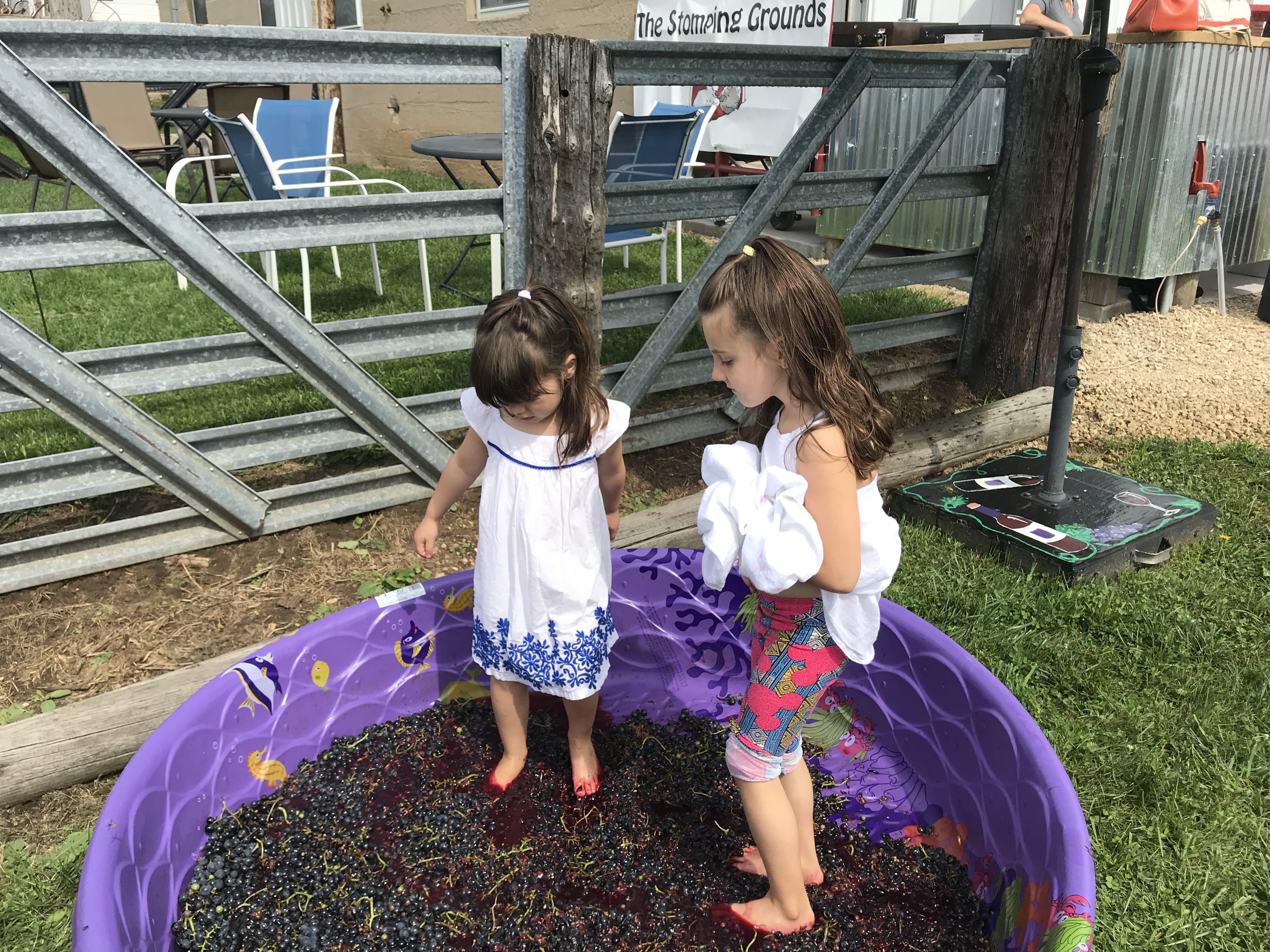 Stomp Fest   Always Second Saturday of September