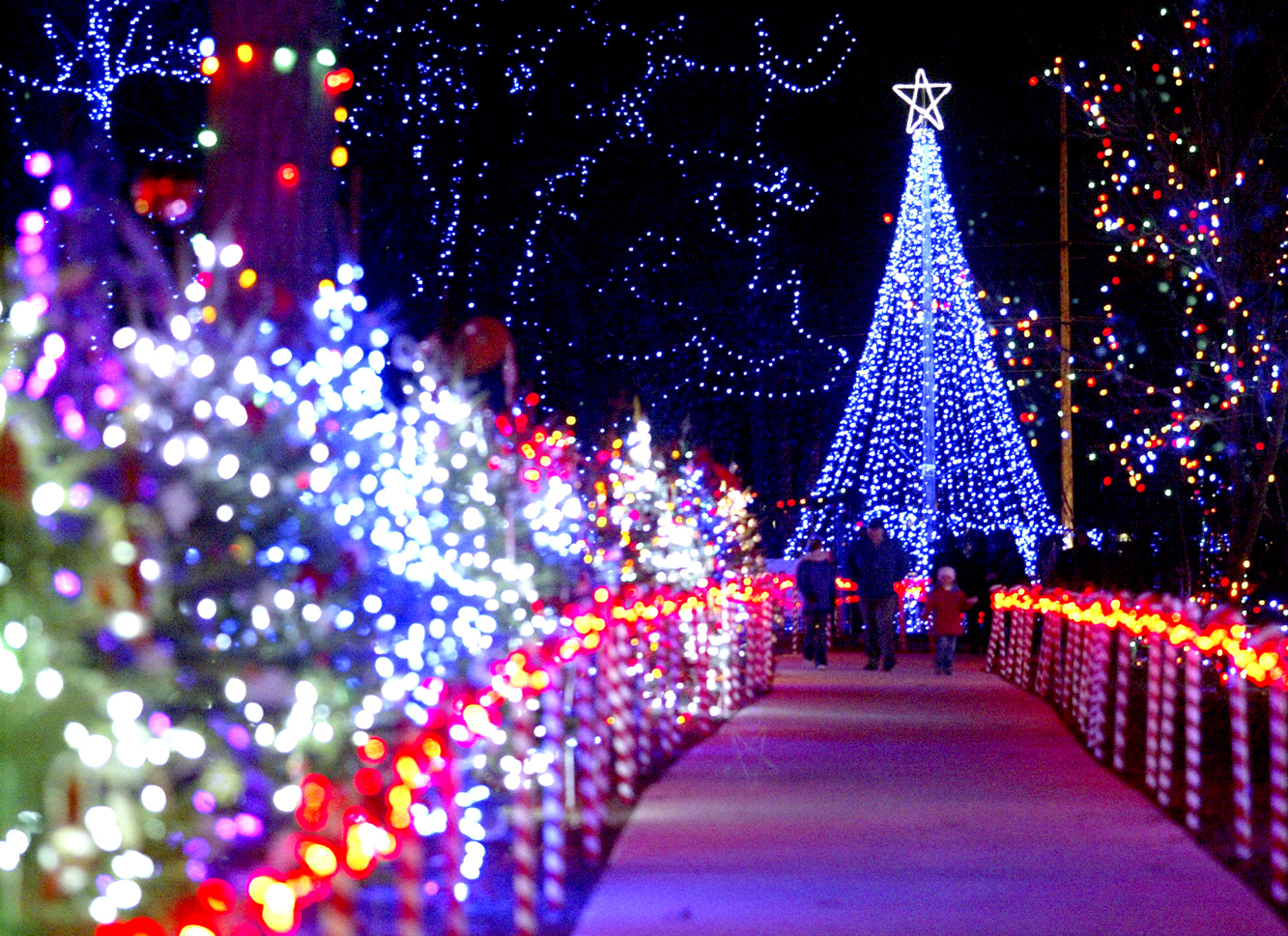 Rotary Winter Wonderland at the Zoo each December!