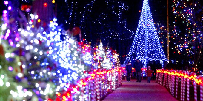 Rotary Winter Wonderland at the Zoo each December!