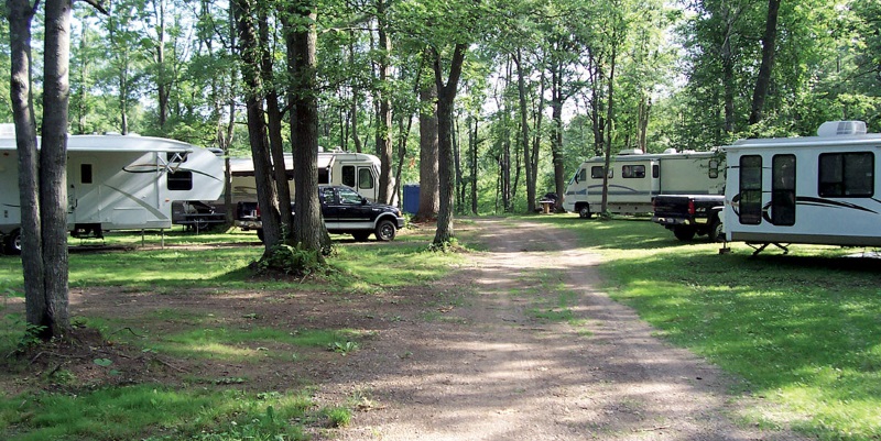 Moody's Wildwoods Campground RV sites