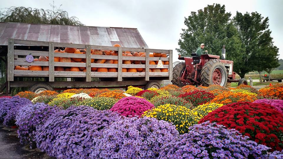 Ebert's Greenhouse Village Travel Wisconsin