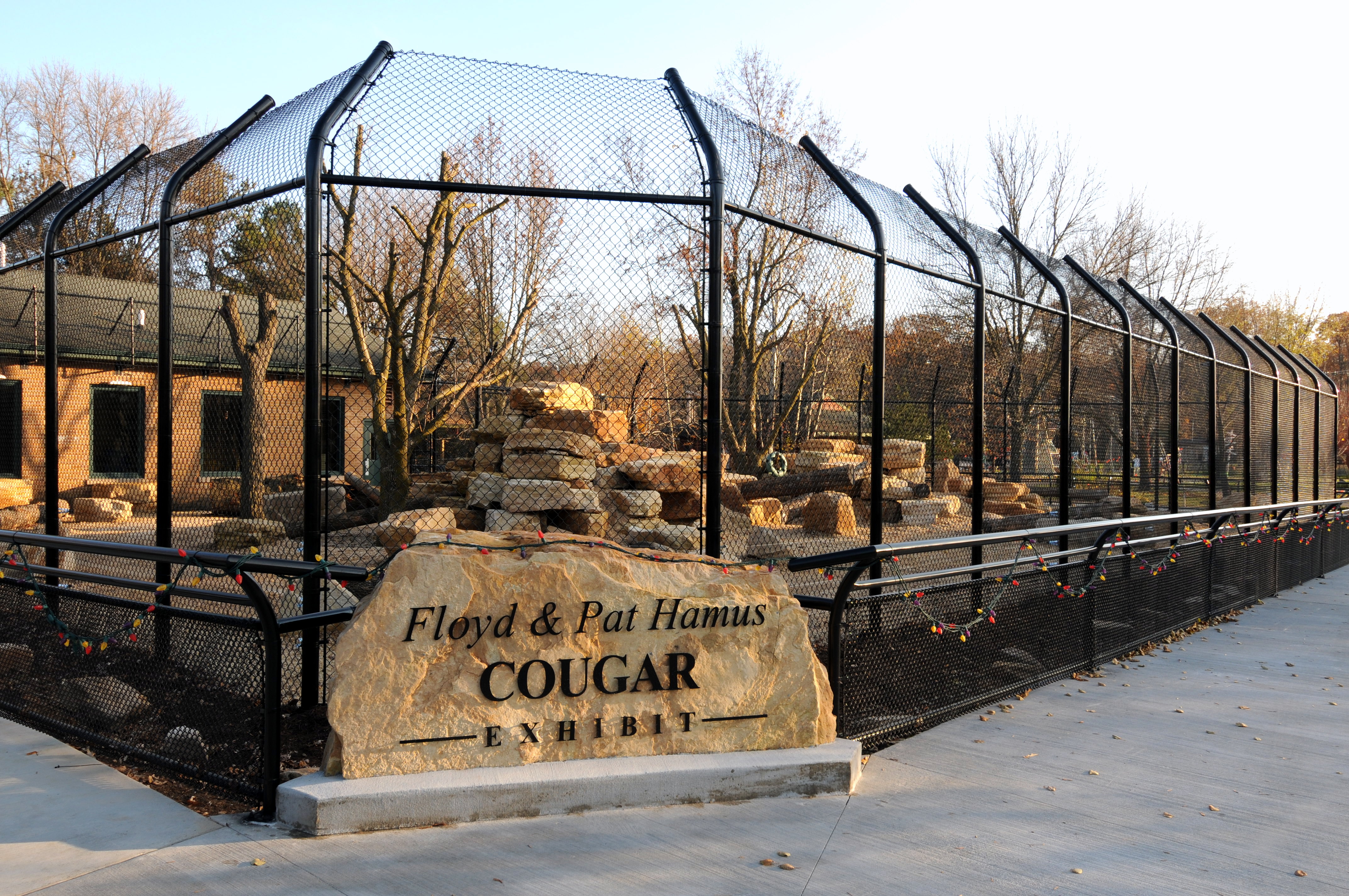 Newly expanded cougar exhibit.