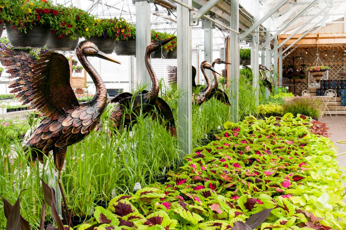 Colonial Nursery Travel Wisconsin