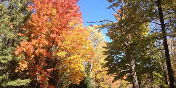 Autumn is a favorite time for many to visit to witness the gorgeous colors of Mother Nature.