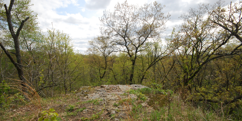 Photo Courtesy of Joshua Mayer