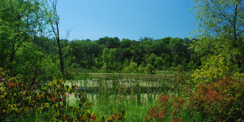 Photo Courtesy of Joshua Mayer