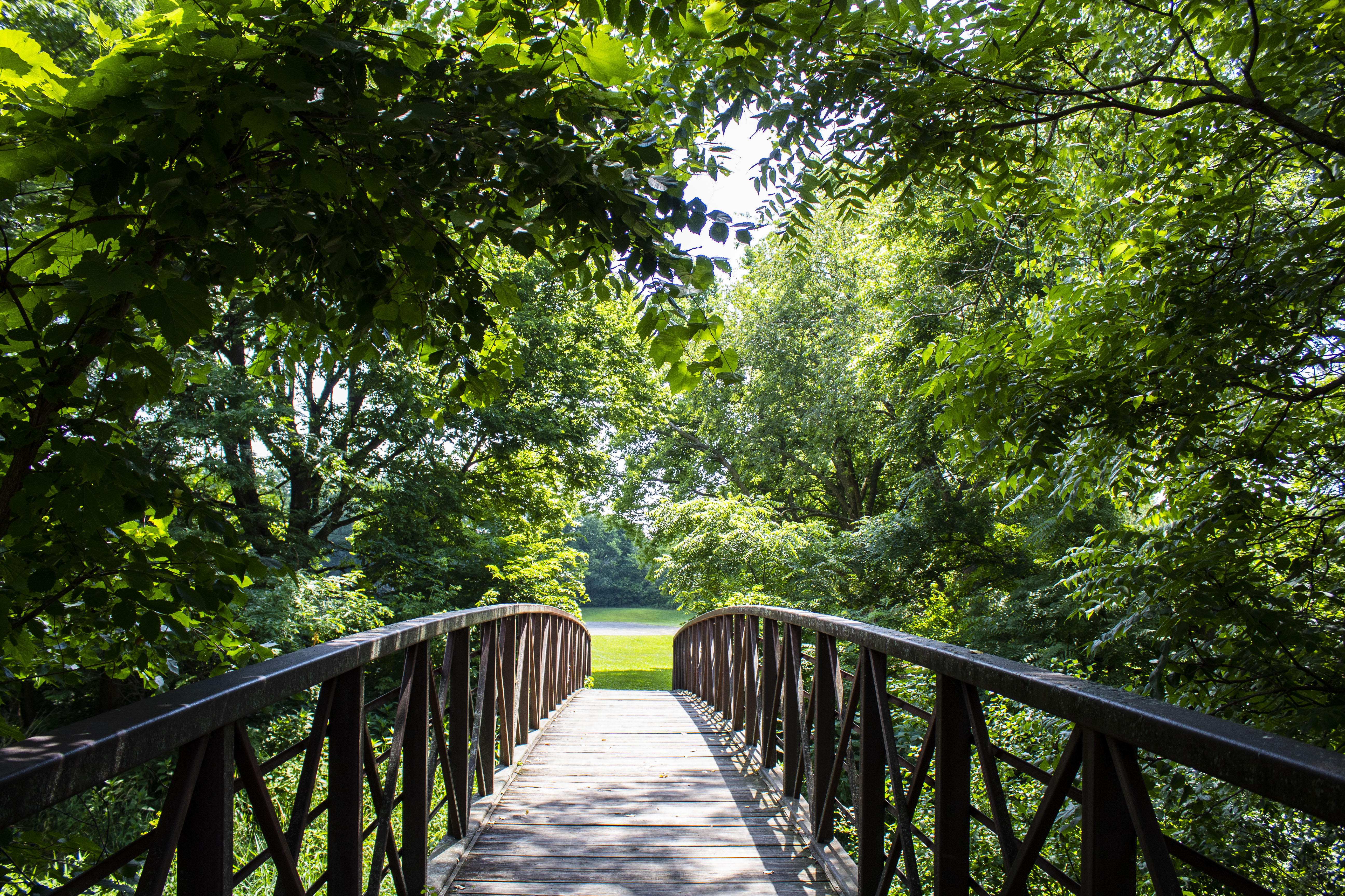 Ice Age Trail Bridge
