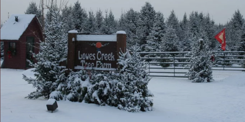 Lowes Creek Tree Farm Travel Wisconsin