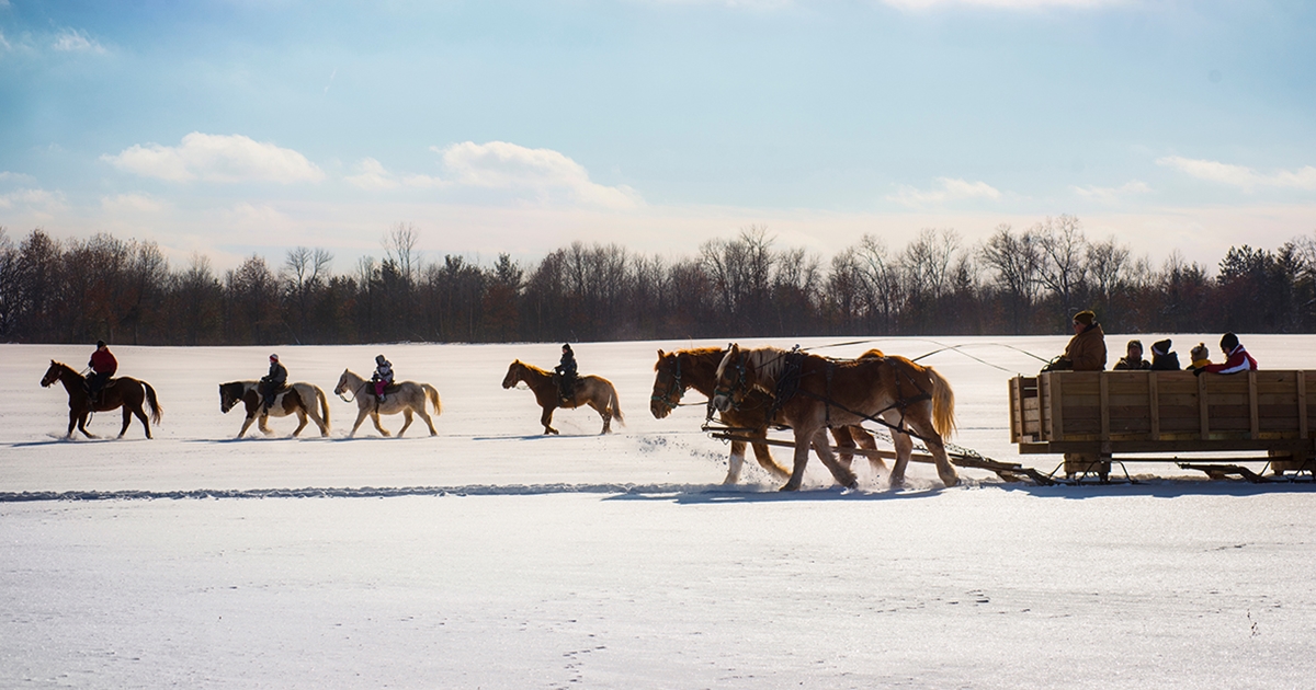 Red Ridge Ranch Riding Stable | Mauston | Travel Wisconsin