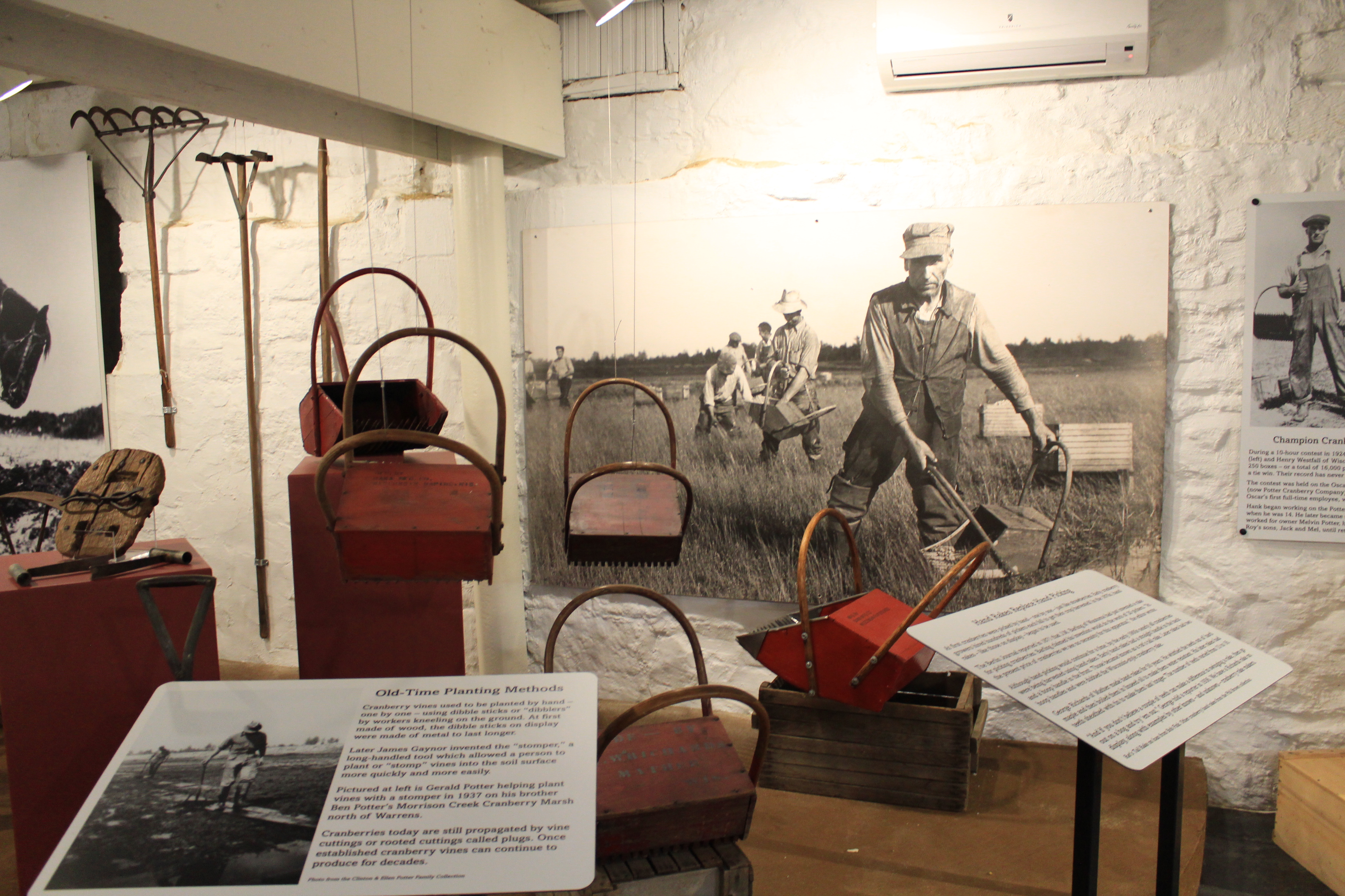 Discover Cranberries Museum