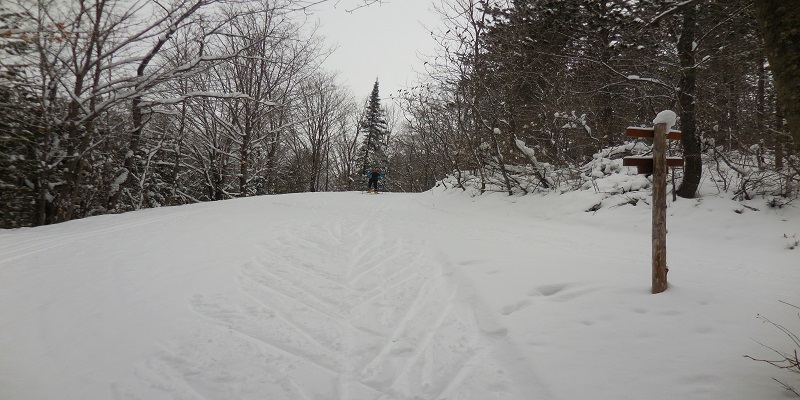 Skate Skier at Gartzke Flowage
