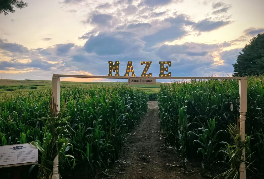 Creek Bed Farmacy Maze Entrance