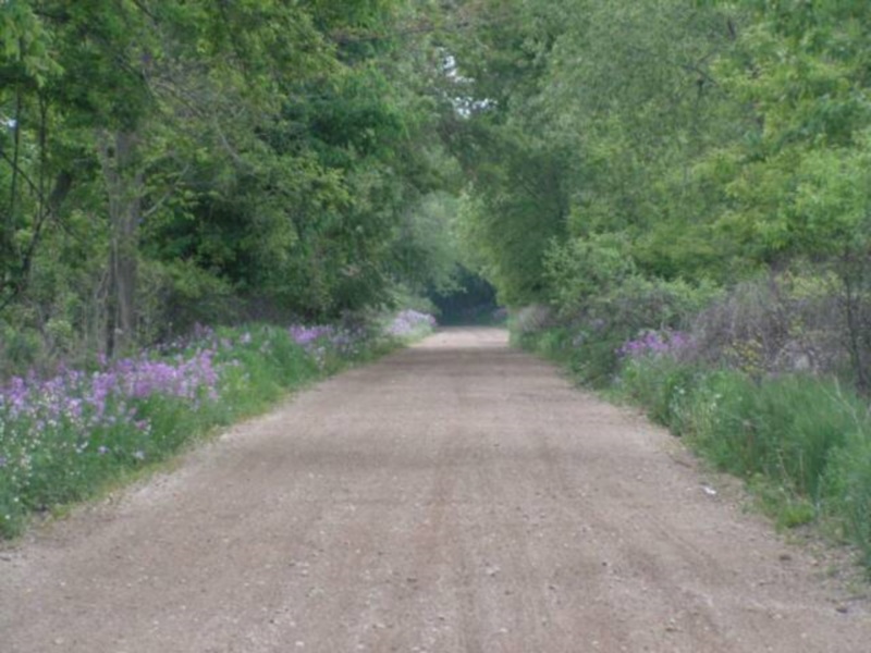 Cheese Country Trail Darlington