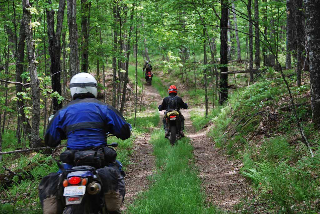 Touring some forest two tracks.