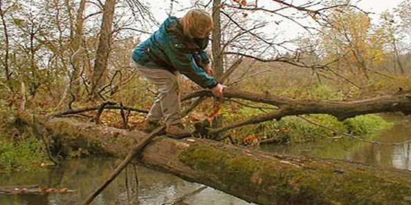 Cylon Marsh & Cylon Wildlife Area Travel Wisconsin