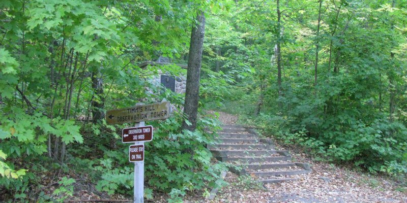 Trail to tower at Timm's Hill